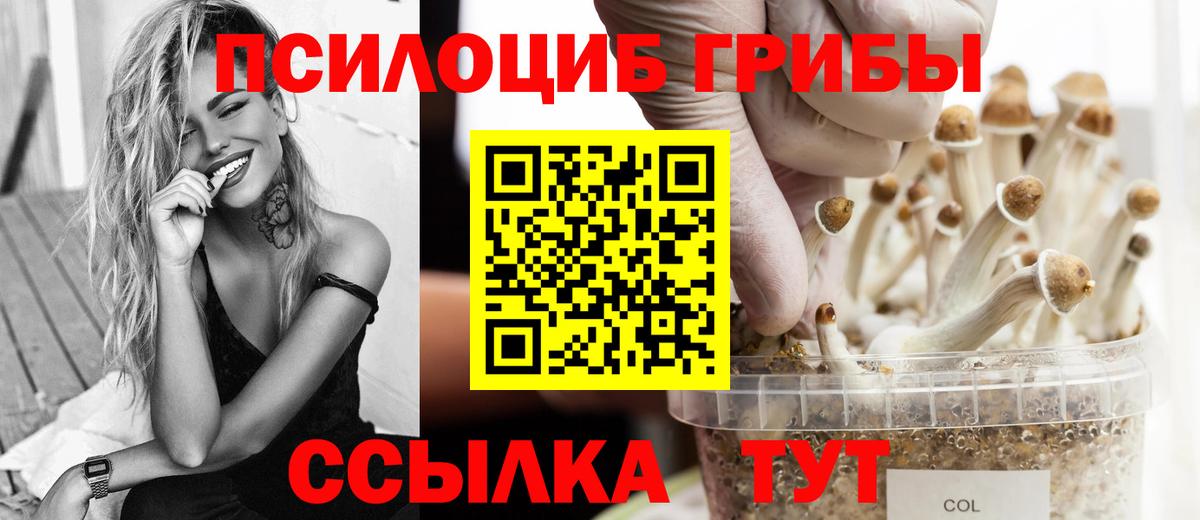 Таганрог  где купить   Вход с VPN  Псилоцибиновые грибы мухоморы 